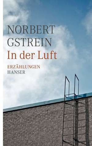 In der Luft de Norbert Gstrein