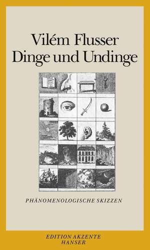 Dinge und Undinge de Vilém Flusser