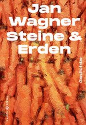 Steine & Erden de Jan Wagner