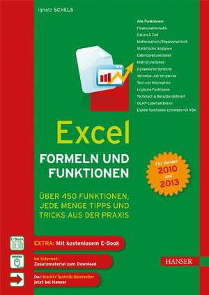 Excel Formeln und Funktionen de Ignatz Schels