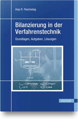 Bilanzierung in der Verfahrenstechnik de Anja R. Paschedag