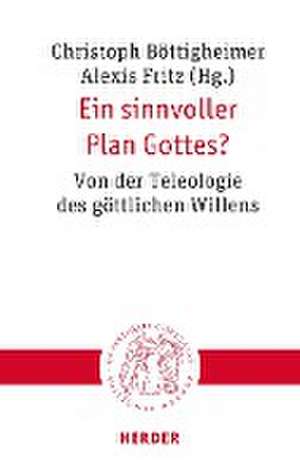 Ein sinnvoller Plan Gottes? de Christoph Böttigheimer