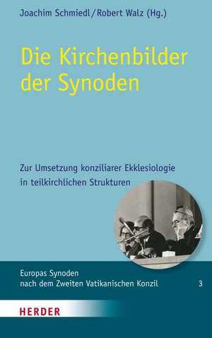 Die Kirchenbilder der Synoden de Joachim Schmiedl