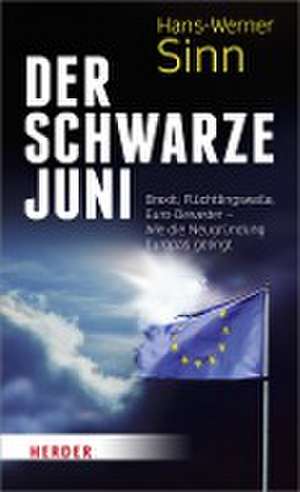 Der Schwarze Juni de Hans-Werner Sinn