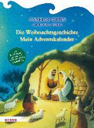 Die Weihnachtsgeschichte de Anselm Grün