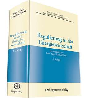 Regulierung in der Energiewirtschaft de Jürgen F. Baur