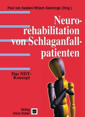 Neurorehabilitation von Schlaganfallpatienten de Paul van Keeken