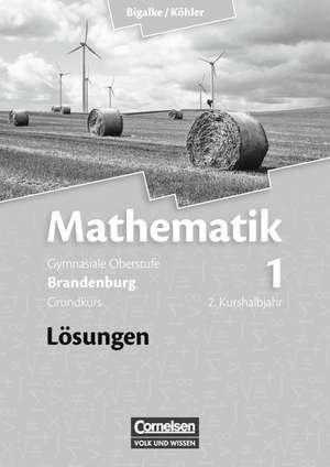 Mathematik Sekundarstufe II Band 01: 2. Kurshalbjahr/Grundkurs Qualifikationsphase. Lösungen zum Schülerbuch. Brandenburg de Anton Bigalke