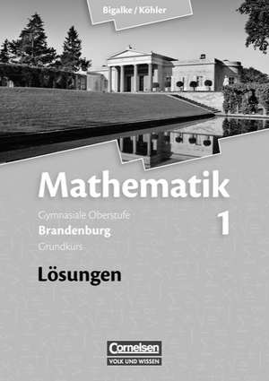 Mathematik Sekundarstufe II Band 01: Grundkurs Qualifikationsphase. Lösungen zum Schülerbuch Brandenburg de Anton Bigalke