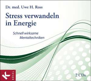 Stress verwandeln in Energie de Uwe H. Ross