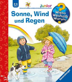 Wieso? Weshalb? Warum? junior, Band 47: Sonne, Wind und Regen de Patricia Mennen