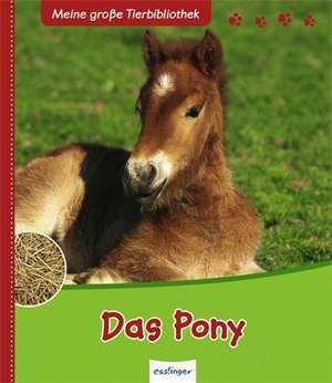 Das Pony de Valèrie Tracqui