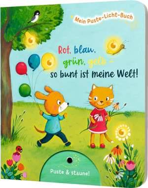 Mein Puste-Licht-Buch: Rot, blau, grün, gelb - so bunt ist meine Welt! de Fee Krämer