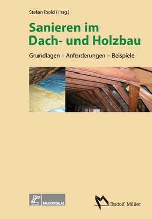 Sanierung im Dach- und Holzbau de Stefan Ibold