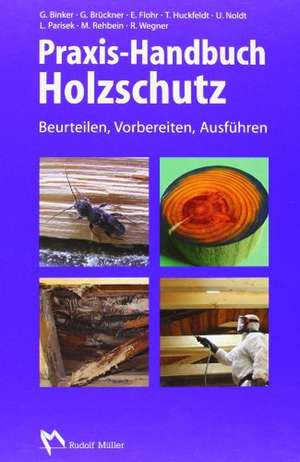 Praxis-Handbuch Holzschutz de Tobias Huckfeldt