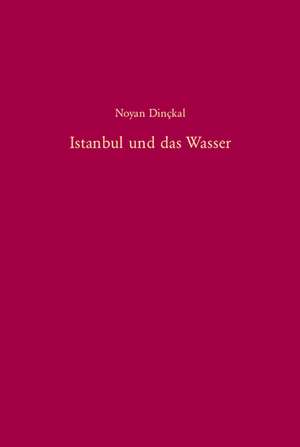 Istanbul und das Wasser: Zur Geschichte der Wasserversorgung und Abwasserentsorgung von der Mitte des 19. Jahrhunderts bis 1966 de Noyan Dinçkal