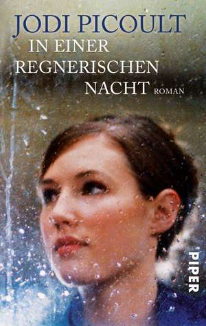 In einer regnerischen Nacht de Jodi Picoult