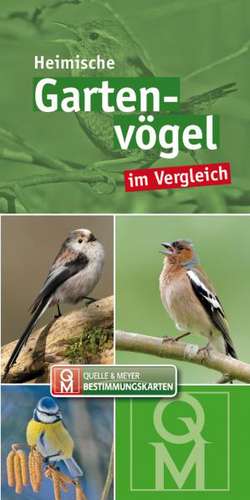 Heimische Garten- und Parkvögel im Vergleich. Bestimmungskarten