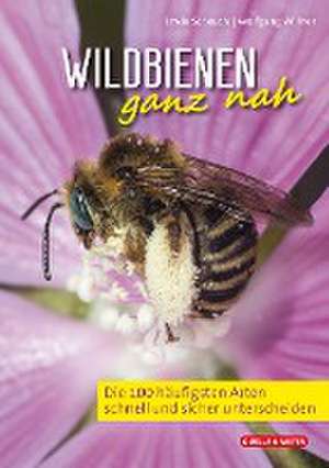 Wildbienen ganz nah de Erwin Scheuchl