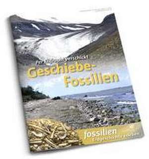 Geschiebe-Fossilien de Jens Lehmann