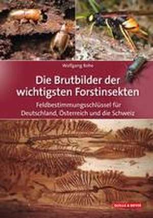 Die Brutbilder der wichtigsten Forstinsekten de Wolfgang Rohe