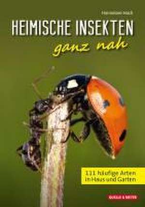 Heimische Insekten ganz nah de Hannelore Hoch