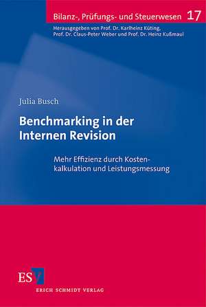 Benchmarking in der Internen Revision de Julia Busch