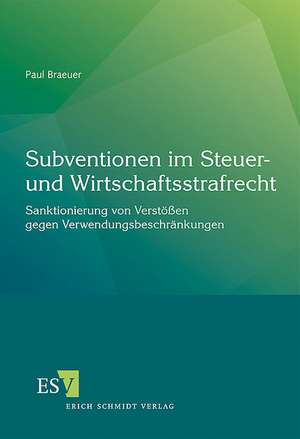 Subventionen im Steuer- und Wirtschaftsstrafrecht de Paul Braeuer