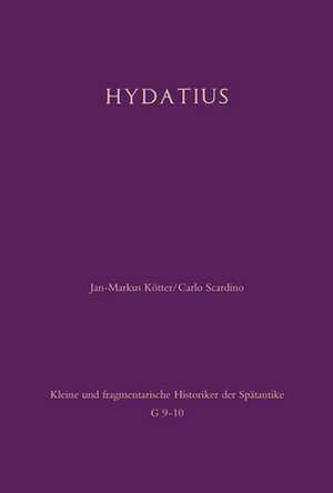 Chronik des Hydatius de Jan-Markus Kötter