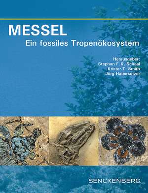 MESSEL - Ein fossiles Tropenökosystem de Stephan F. K. Schaal