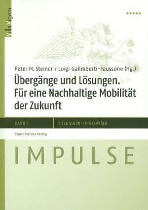 Übergänge und Lösungen de Peter M. Steiner