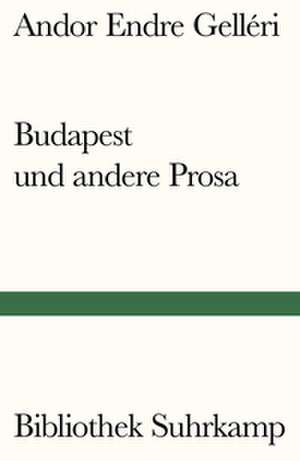 Budapest und andere Prosa de Andor Endre Gelléri