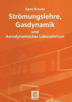 Strömungslehre, Gasdynamik und Aerodynamisches Laboratorium de Egon Krause