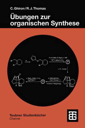 Übungen zur organischen Synthese de Chiara Ghiron