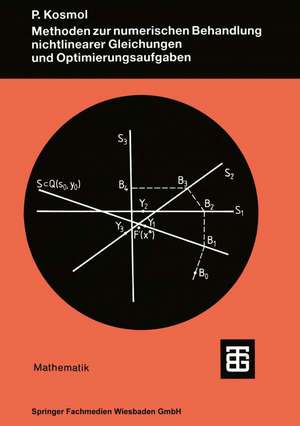 Methoden zur numerischen Behandlung nichtlinearer Gleichungen und Optimierungsaufgaben de Peter Kosmol