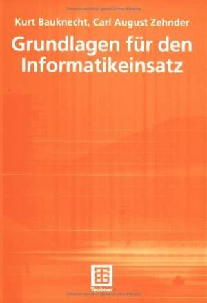 Grundlagen für den Informatikeinsatz de Kurt Bauknecht