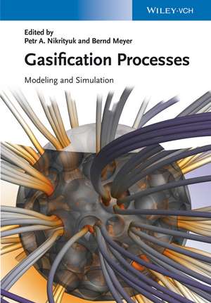 Gasification Processes – Modeling and Simulation de PA Nikrityuk