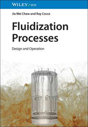 Fluidization Processes de Jia Wei Chew