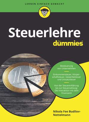 Steuerlehre für Dummies de N Budilov–Nettelm