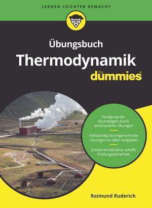 Übungsbuch Thermodynamik für Dummies de R Ruderich