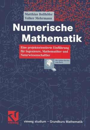 Numerische Mathematik: Eine projektorientierte Einführung für Ingenieure, Mathematiker und Naturwissenschaftler de Matthias Bollhöfer