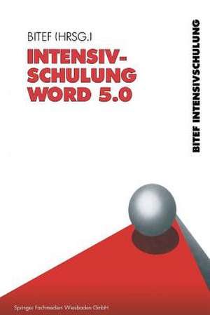 Intensivschulung Word 5.0 de BITEF