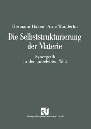 Die Selbststrukturierung der Materie: Synergetik in der unbelebten Welt de Arne Wunderlin