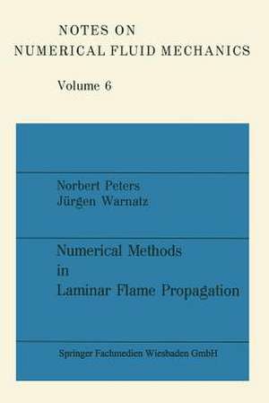 Numerical Methods in Laminar Flame Propagation: A GAMM-Workshop de Norbert Peters