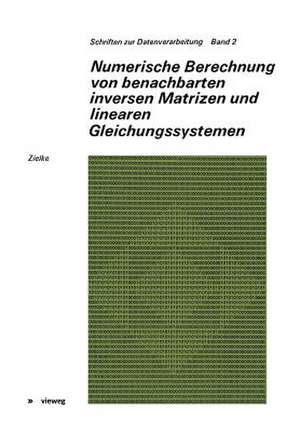 Numerische Berechnung von benachbarten inversen Matrizen und linearen Gleichungssystemen de Gerhard Zielke