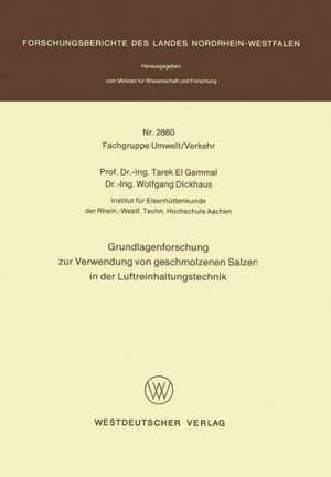 Grundlagenforschung zur Verwendung von geschmolzenen Salzen in der Luftreinhaltungstechnik de Tarek el Gammal