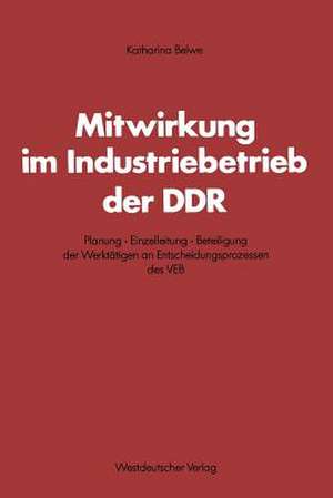 Mitwirkung im Industriebetrieb der DDR: Planung — Einzelleitung — Beteiligung der Werktätigen an Entscheidungsprozessen des VEB de Katharina Belwe