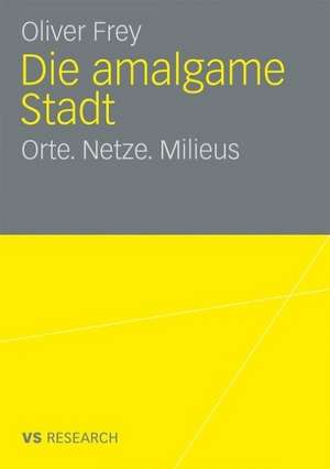 Die amalgame Stadt: Orte. Netze. Milieus de Oliver Frey