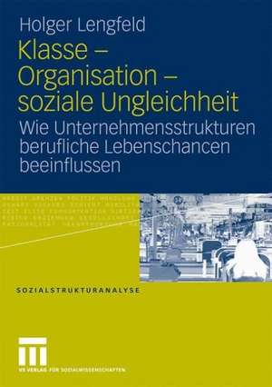 Klasse - Organisation - soziale Ungleichheit: Wie Unternehmensstrukturen berufliche Lebenschancen beeinflussen de Holger Lengfeld