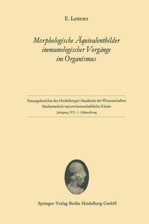 Morphologische Äquivalentbilder immunologischer Vorgänge im Organismus de Erich Letterer